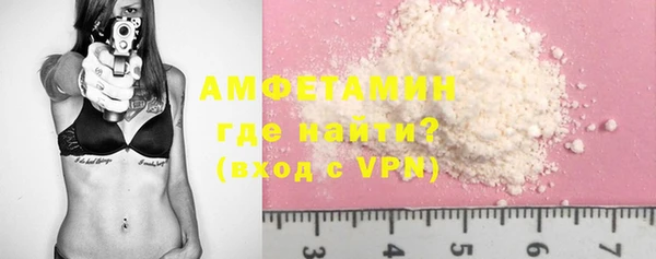 амф Бородино
