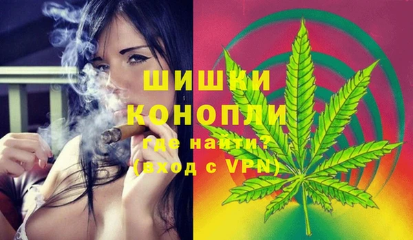 амф Бородино