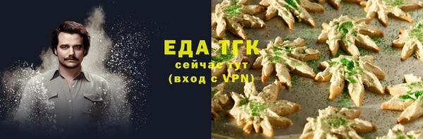 амф Бородино