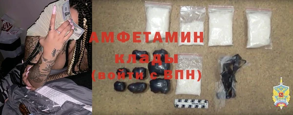 амф Бородино