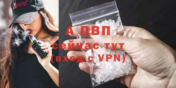 амф Бородино