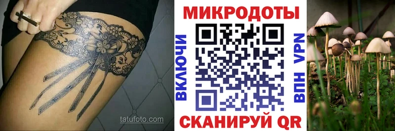 ссылка на мегу рабочий сайт закладки Ворсма Псилоцибиновые грибы GOLDEN TEACHER